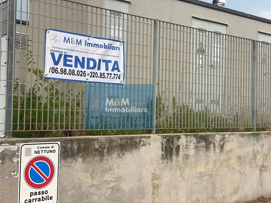 Immagine 4 di Capannone industriale in vendita  in VIA AUGUSTO ANDREA 13 a Nettuno
