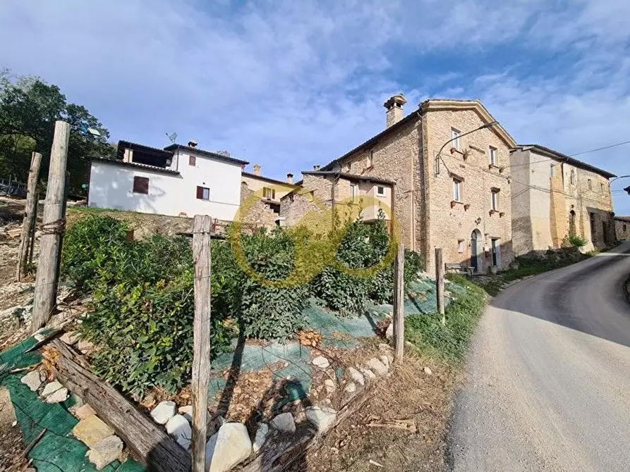 Immagine 4 di Casa indipendente in vendita  in morico a San Ginesio