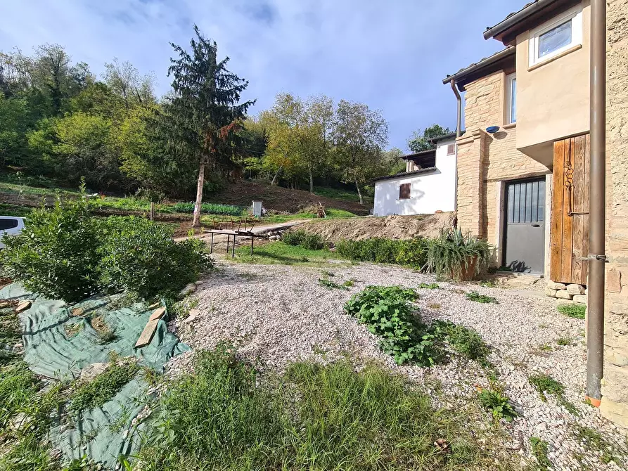 Immagine 22 di Casa indipendente in vendita  in morico a San Ginesio