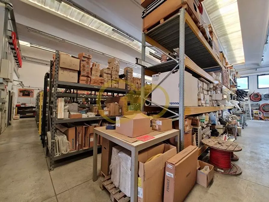 Immagine 3 di Capannone industriale in vendita  in Piceno a Montecosaro