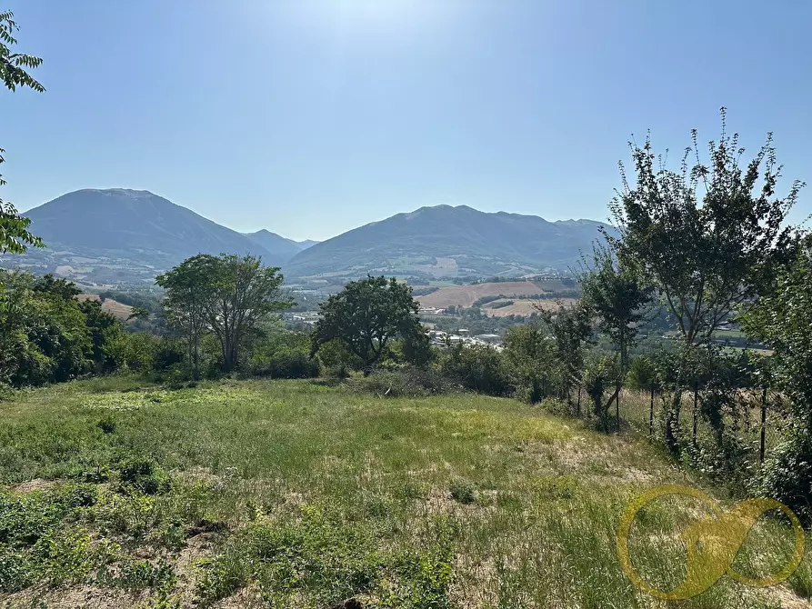Immagine 12 di Casa indipendente in vendita  in COLLINA a Castelraimondo