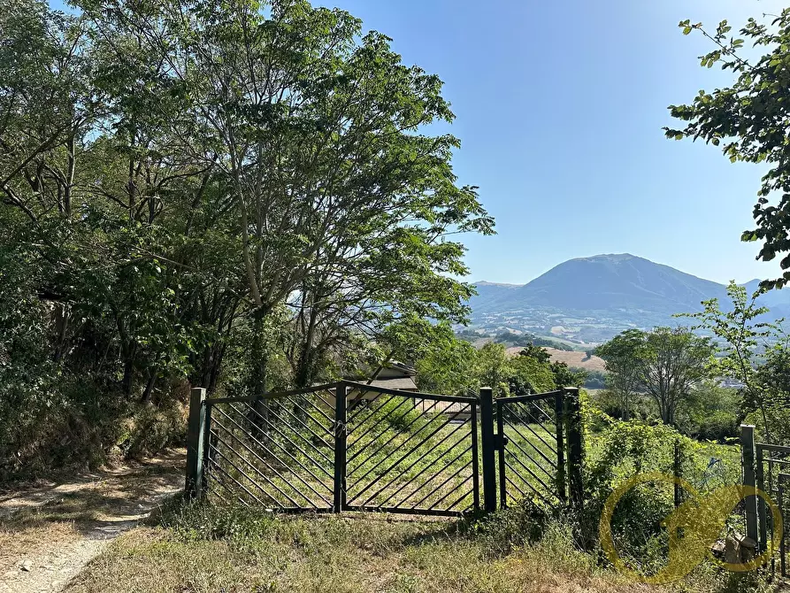 Immagine 14 di Casa indipendente in vendita  in COLLINA a Castelraimondo