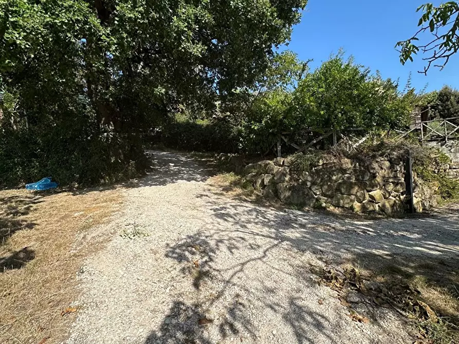 Immagine 16 di Casa indipendente in vendita  in COLLINA a Castelraimondo