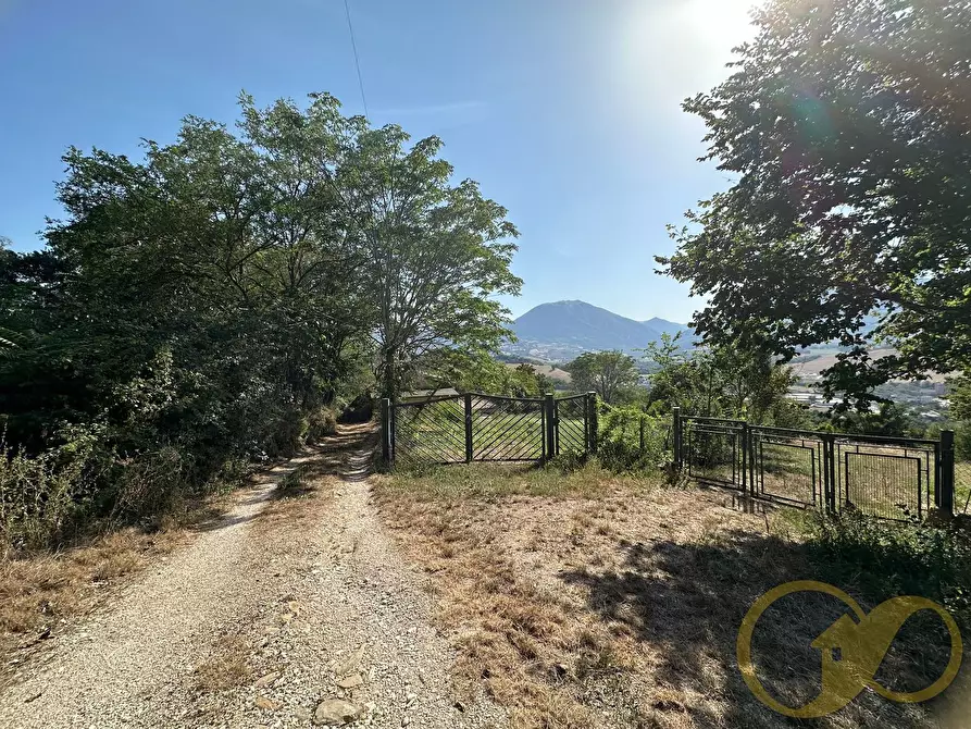 Immagine 15 di Casa indipendente in vendita  in COLLINA a Castelraimondo