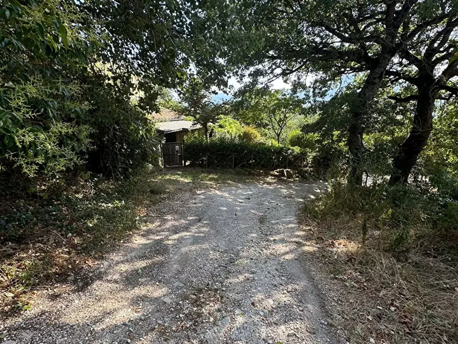 Immagine 17 di Casa indipendente in vendita  in COLLINA a Castelraimondo