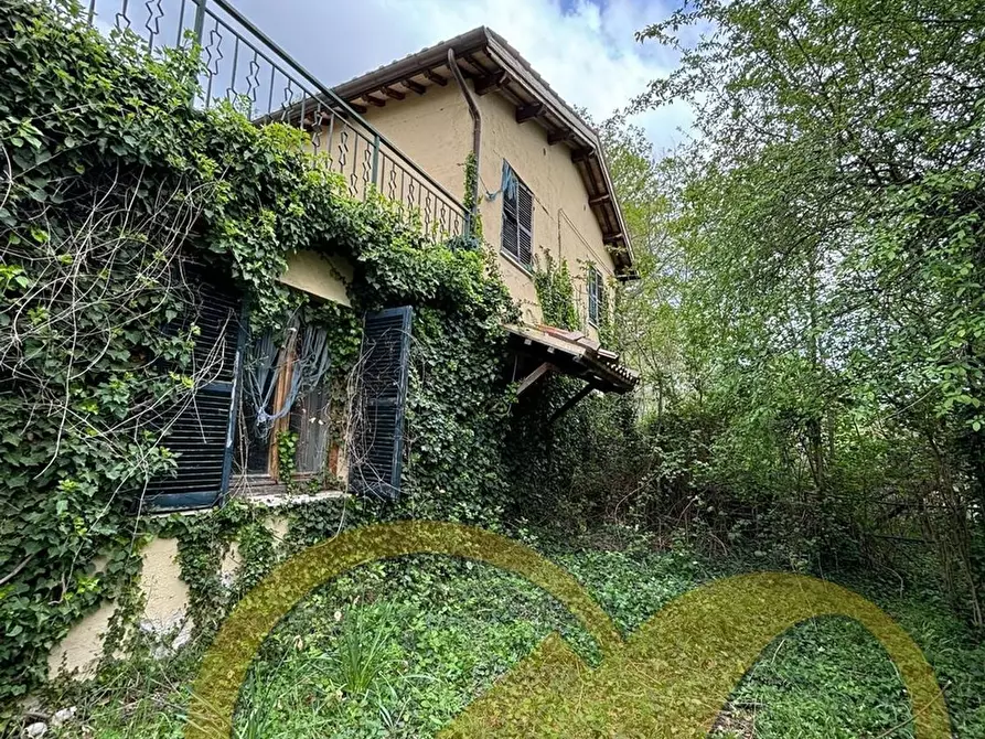Immagine 38 di Casa indipendente in vendita  in COLLINA a Castelraimondo