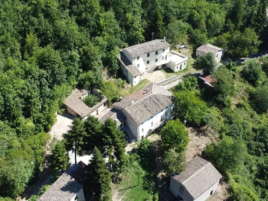 Immagine 2 di Casa indipendente in vendita  in Sasso marozzo a Belforte Del Chienti