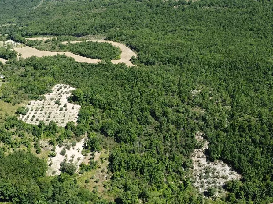 Immagine 18 di Casa indipendente in vendita  in Sasso marozzo a Belforte Del Chienti