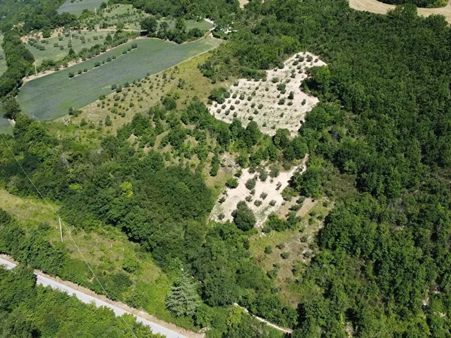 Immagine 19 di Casa indipendente in vendita  in Sasso marozzo a Belforte Del Chienti