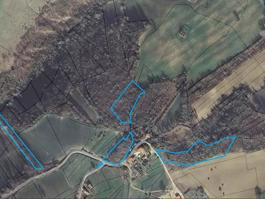 Immagine 13 di Terreno agricolo in vendita  in san rocco a Tolentino