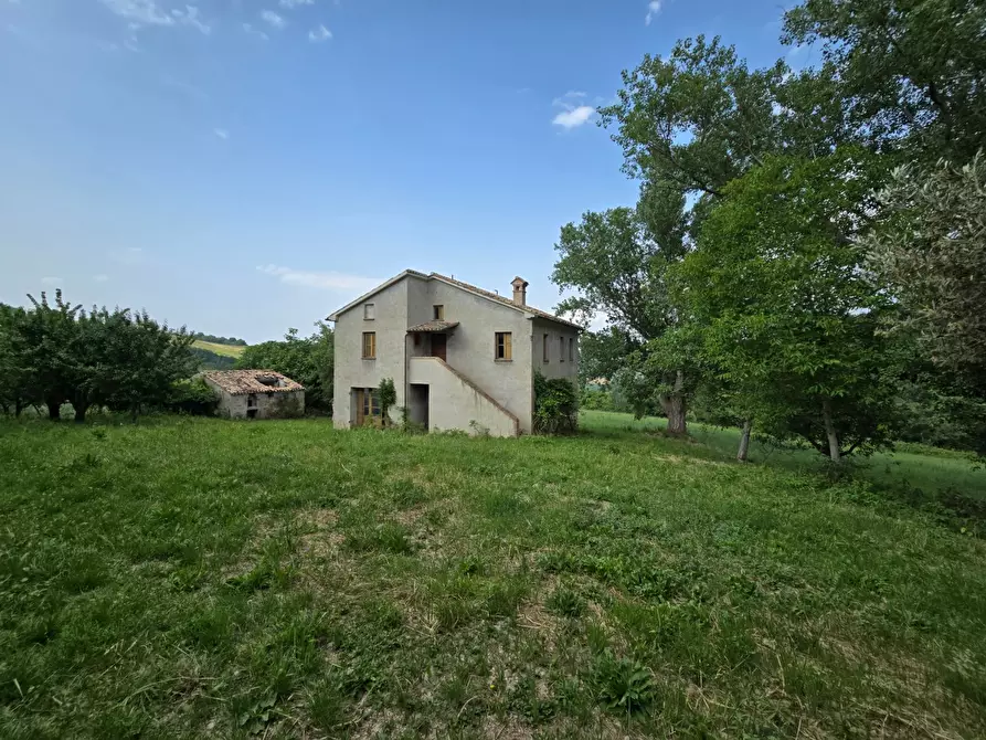 Immagine 2 di Casa indipendente in vendita  in Colli 118 a Belforte Del Chienti