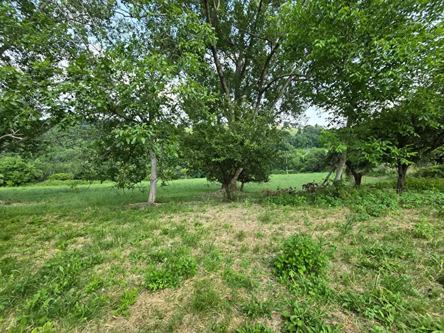 Immagine 8 di Casa indipendente in vendita  in Colli 118 a Belforte Del Chienti