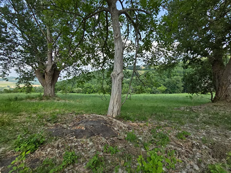 Immagine 9 di Casa indipendente in vendita  in Colli 118 a Belforte Del Chienti
