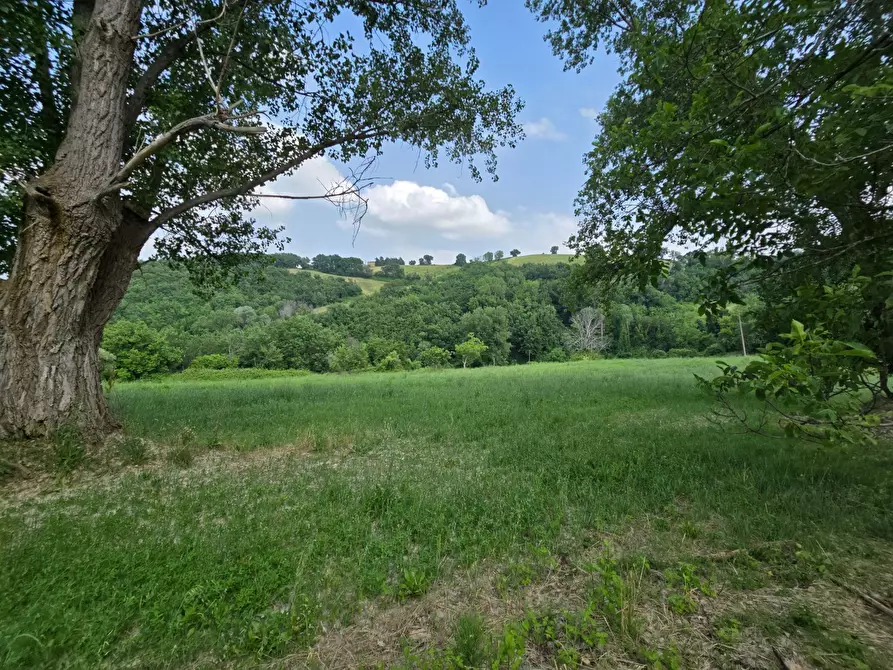 Immagine 10 di Casa indipendente in vendita  in Colli 118 a Belforte Del Chienti