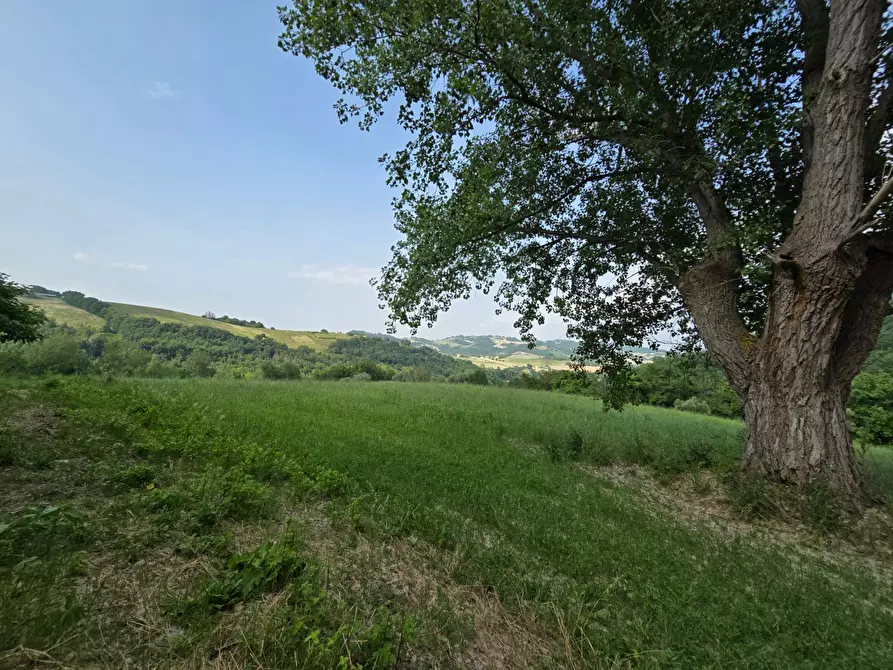 Immagine 11 di Casa indipendente in vendita  in Colli 118 a Belforte Del Chienti