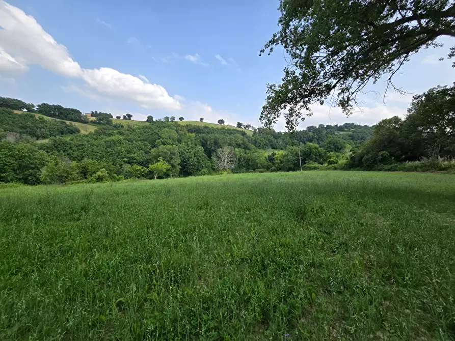 Immagine 13 di Casa indipendente in vendita  in Colli 118 a Belforte Del Chienti