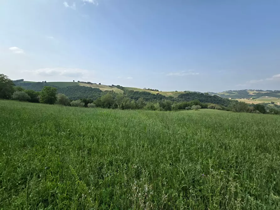 Immagine 15 di Casa indipendente in vendita  in Colli 118 a Belforte Del Chienti