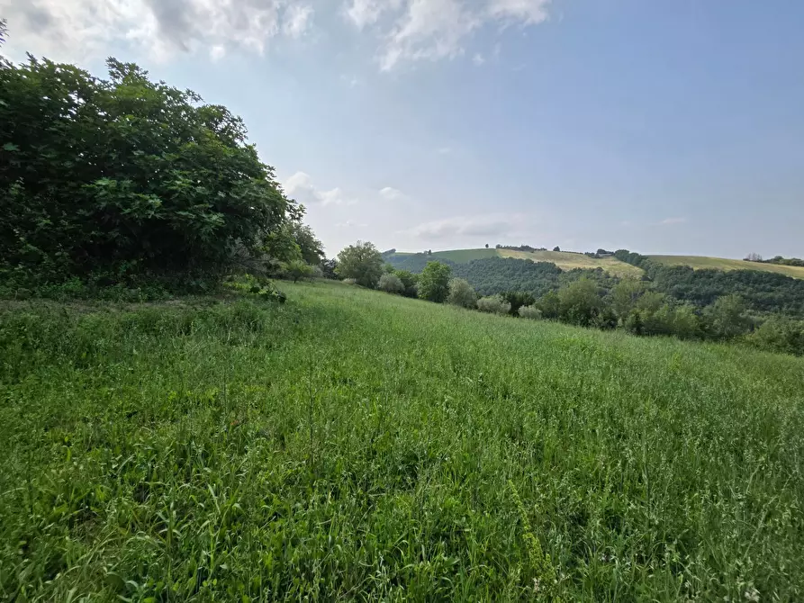 Immagine 16 di Casa indipendente in vendita  in Colli 118 a Belforte Del Chienti
