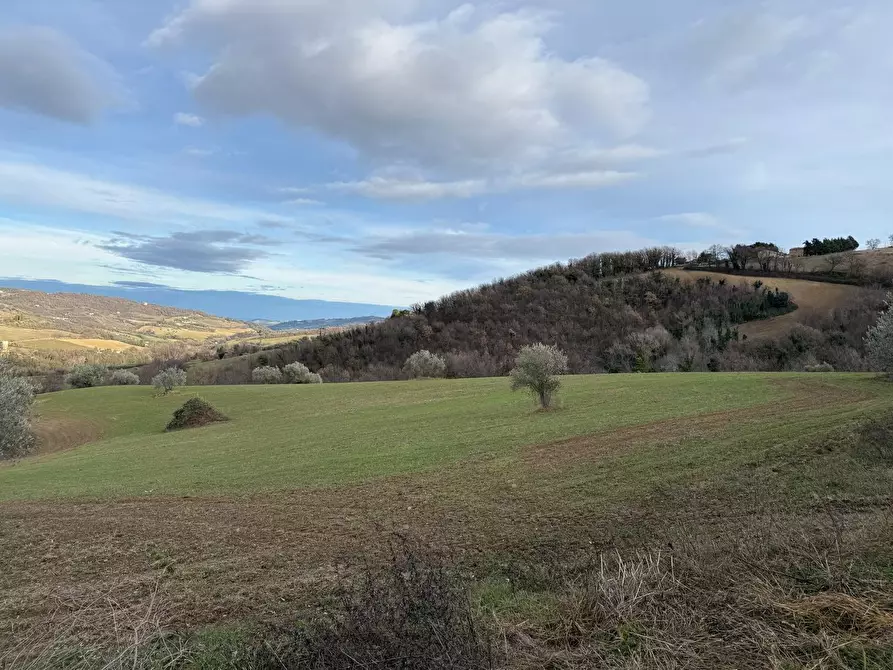 Immagine 21 di Casa indipendente in vendita  in Colli 118 a Belforte Del Chienti