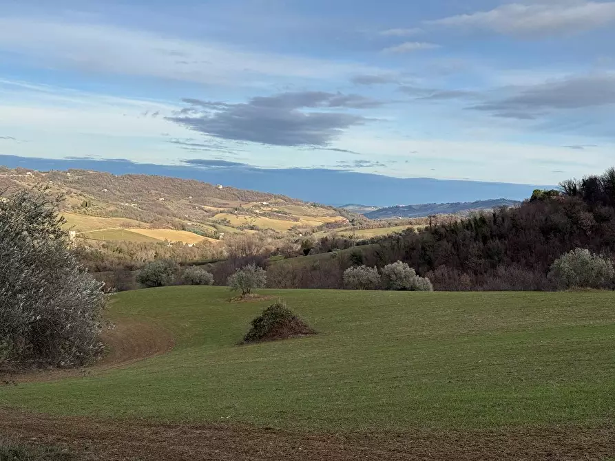Immagine 22 di Casa indipendente in vendita  in Colli 118 a Belforte Del Chienti