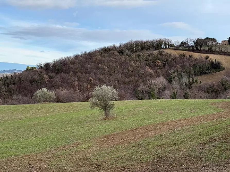 Immagine 23 di Casa indipendente in vendita  in Colli 118 a Belforte Del Chienti