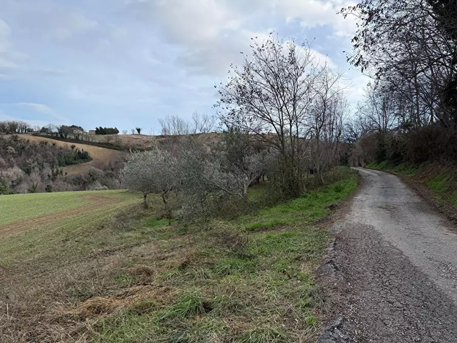 Immagine 24 di Casa indipendente in vendita  in Colli 118 a Belforte Del Chienti