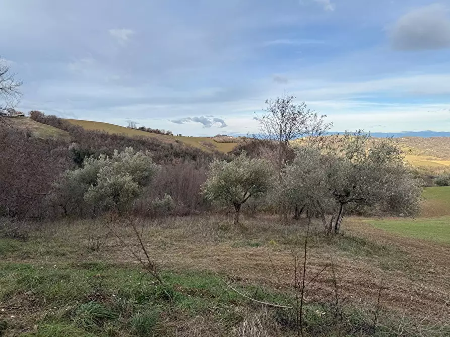 Immagine 25 di Casa indipendente in vendita  in Colli 118 a Belforte Del Chienti