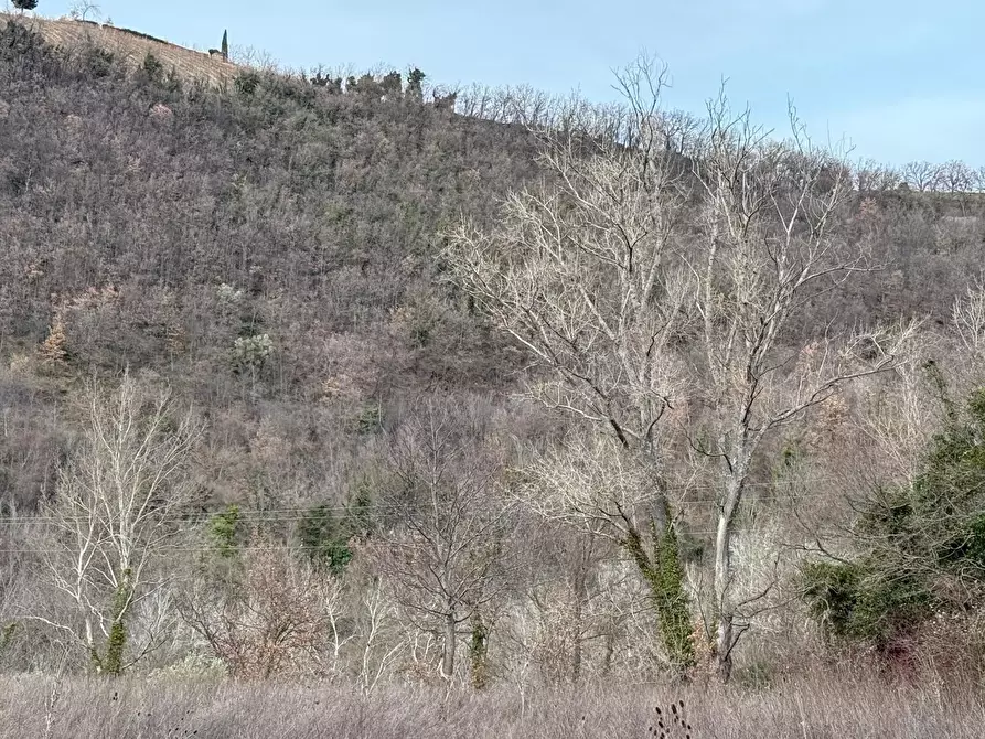 Immagine 26 di Casa indipendente in vendita  in Colli 118 a Belforte Del Chienti