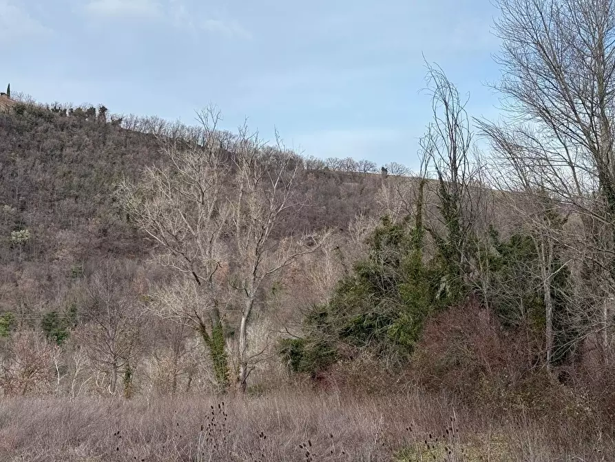 Immagine 27 di Casa indipendente in vendita  in Colli 118 a Belforte Del Chienti