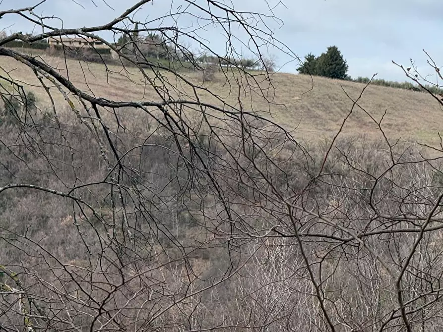 Immagine 28 di Casa indipendente in vendita  in Colli 118 a Belforte Del Chienti