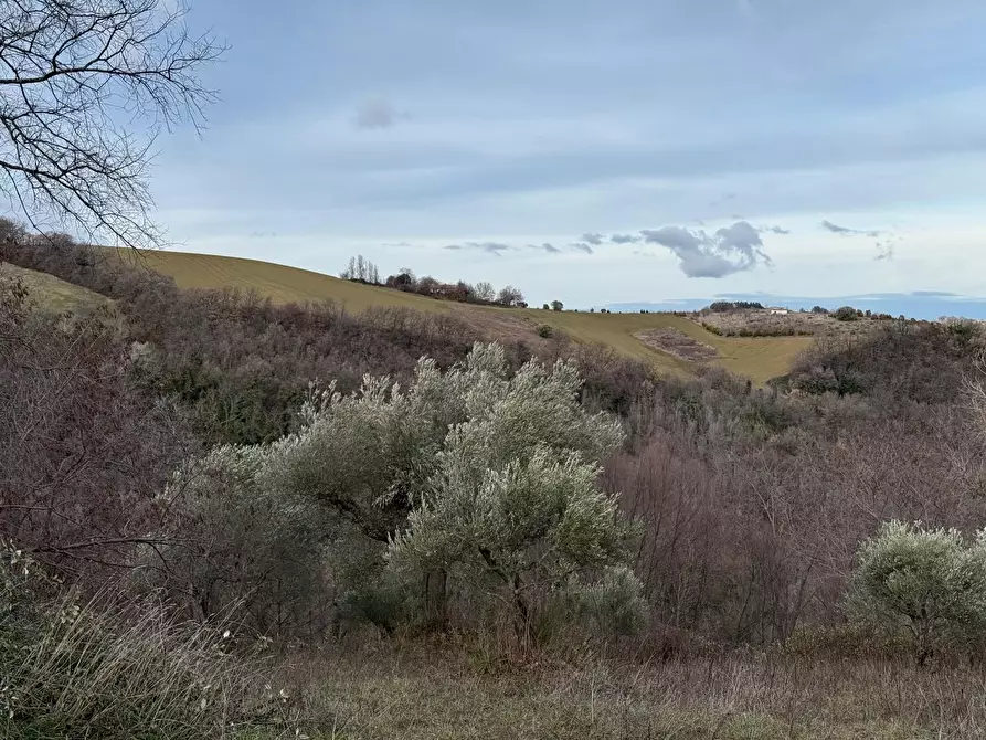 Immagine 29 di Casa indipendente in vendita  in Colli 118 a Belforte Del Chienti