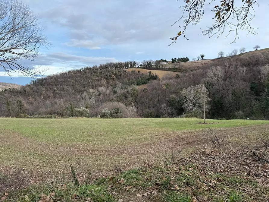 Immagine 30 di Casa indipendente in vendita  in Colli 118 a Belforte Del Chienti