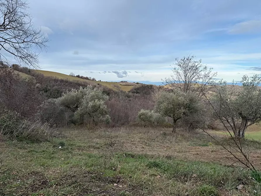 Immagine 31 di Casa indipendente in vendita  in Colli 118 a Belforte Del Chienti