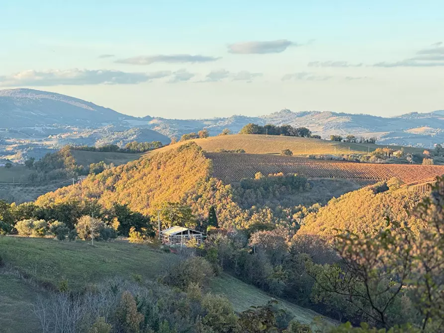 Immagine 3 di Villa in vendita  in Colli 44 a Belforte Del Chienti