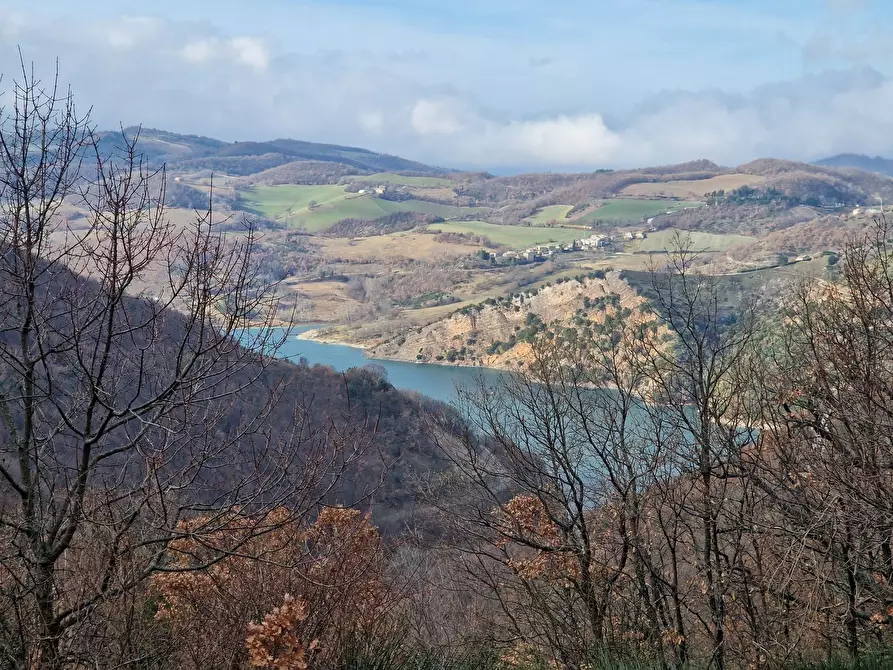 Immagine 7 di Casa indipendente in vendita  in Podalla a Acquacanina