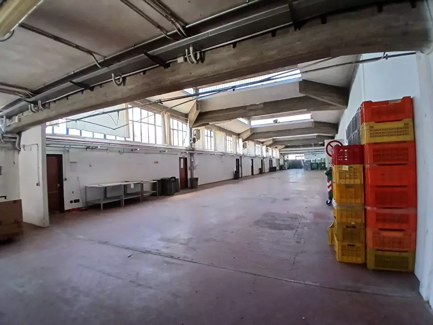 Immagine 4 di Capannone industriale in vendita  a Sant'elpidio A Mare