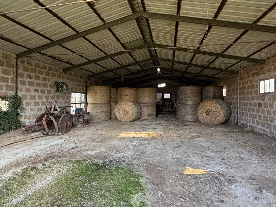 Immagine 18 di Casa indipendente in vendita  in C.da San Rocco a Tolentino