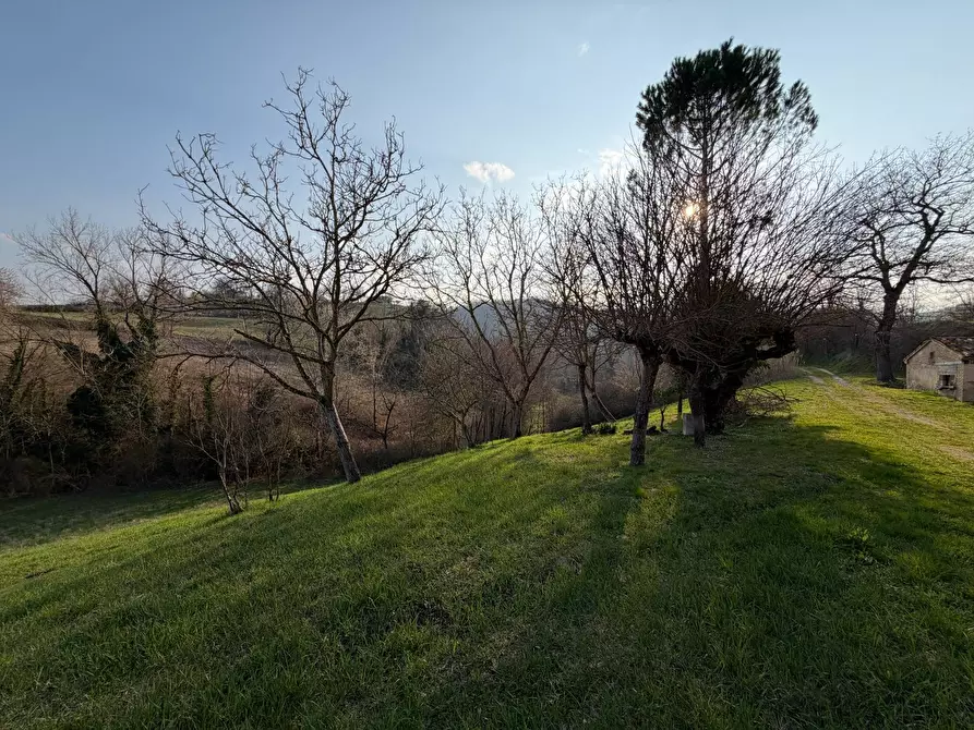 Immagine 25 di Casa indipendente in vendita  in C.da San Rocco a Tolentino