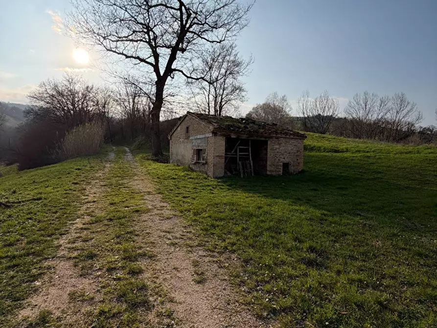 Immagine 26 di Casa indipendente in vendita  in C.da San Rocco a Tolentino
