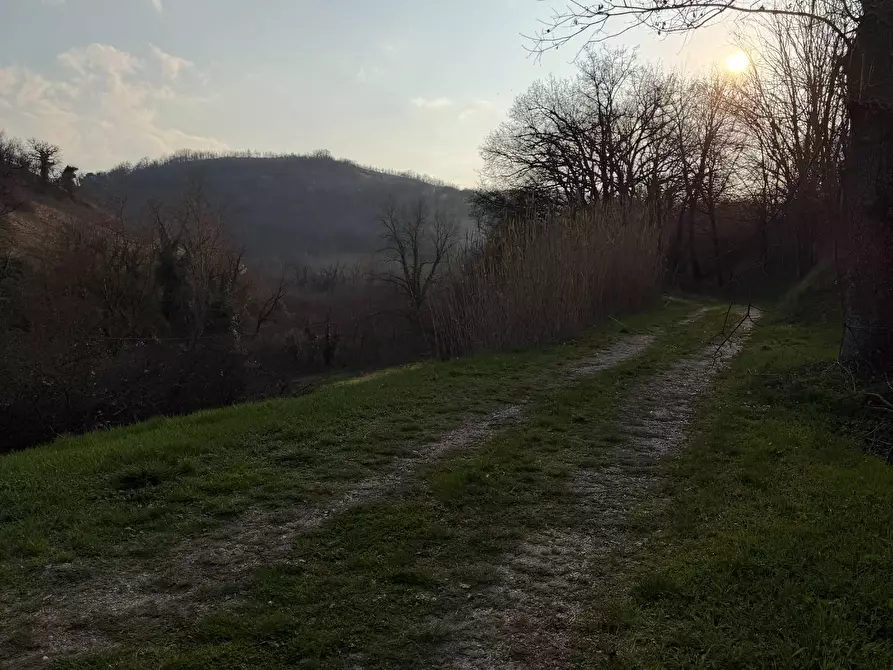 Immagine 29 di Casa indipendente in vendita  in C.da San Rocco a Tolentino