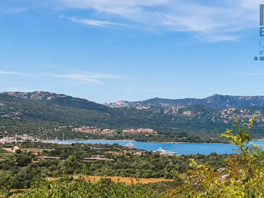 Immagine 2 di Appartamento in vendita  in via pedralana 26 a Olbia