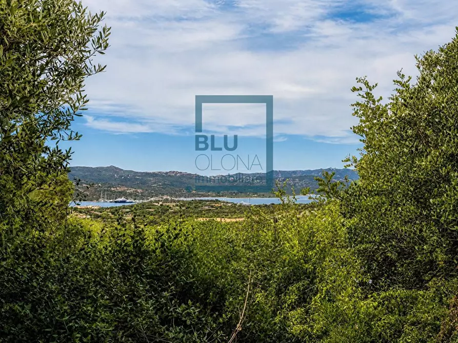Immagine 7 di Appartamento in vendita  in via pedralana 26 a Olbia