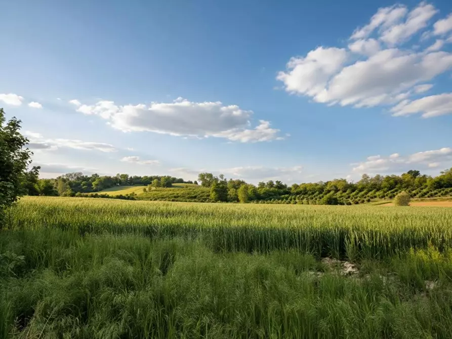 Immagine 8 di Rustico / casale in vendita  in frazione Lavezzole 70 a San Damiano D'asti