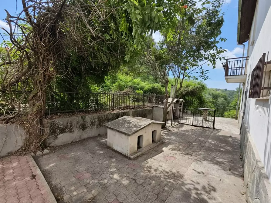 Immagine 36 di Villa in vendita  in Via Serra D'asti 61 a Belveglio