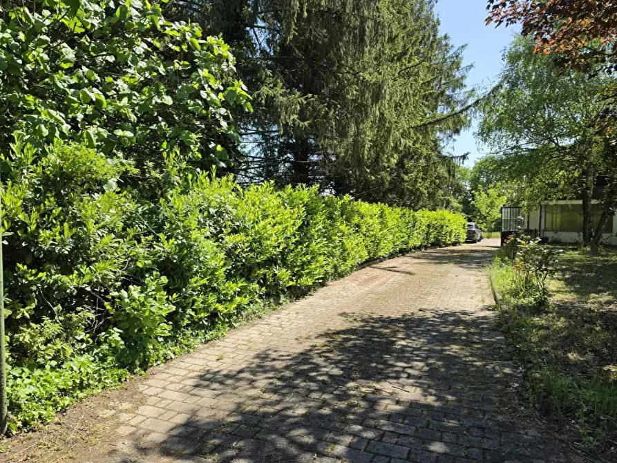 Immagine 6 di Casa indipendente in vendita  in Via Vadonia 9 a Aramengo