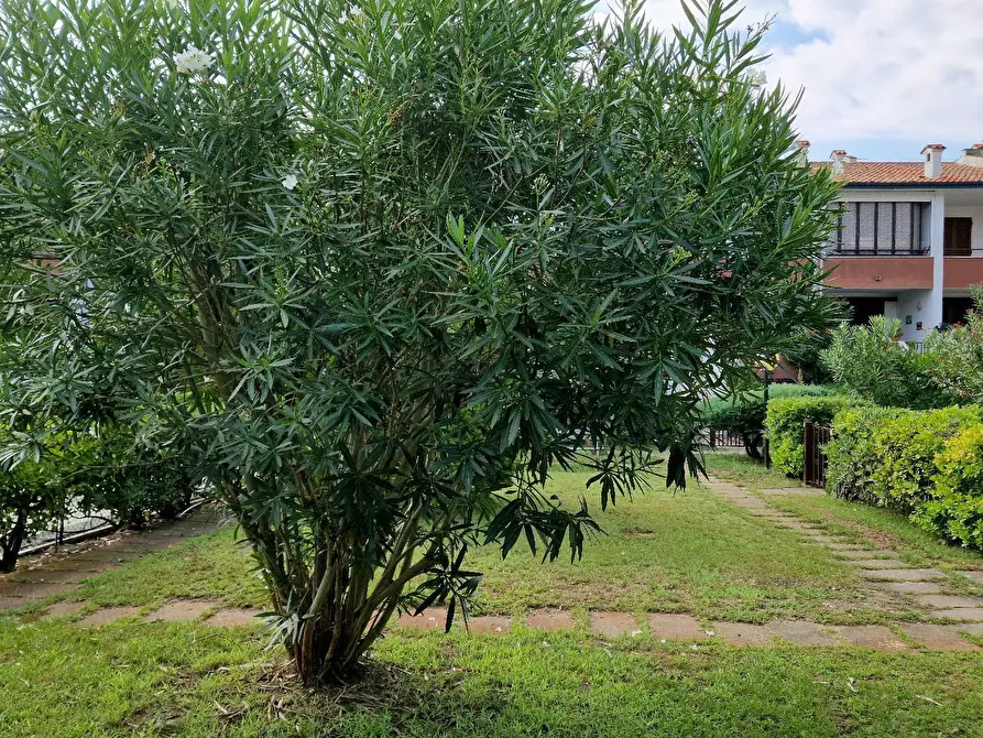 Immagine 20 di Villetta a schiera in vendita  in Via Sandro Botticelli 7B a Comacchio