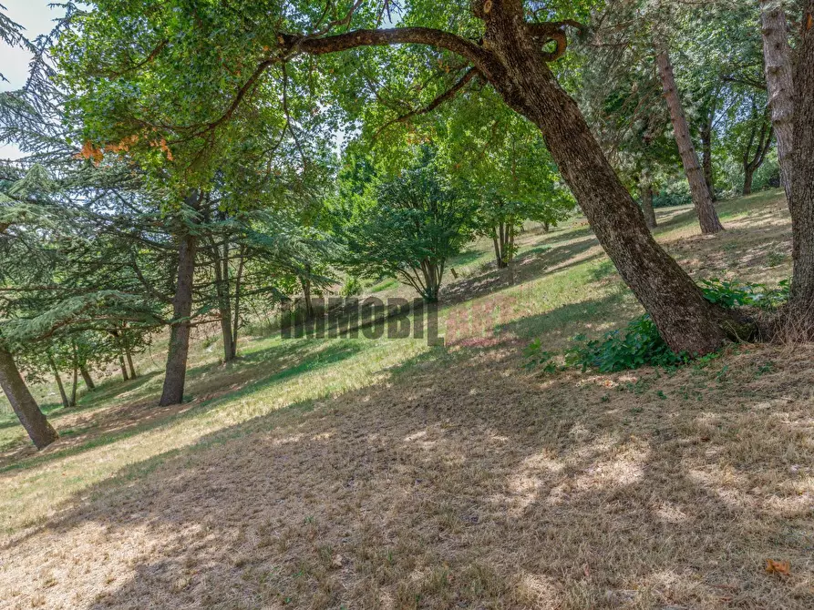 Immagine 51 di Villa in affitto  in LOCALITA' RONCAGLIO CADRAZZOLE a Canossa