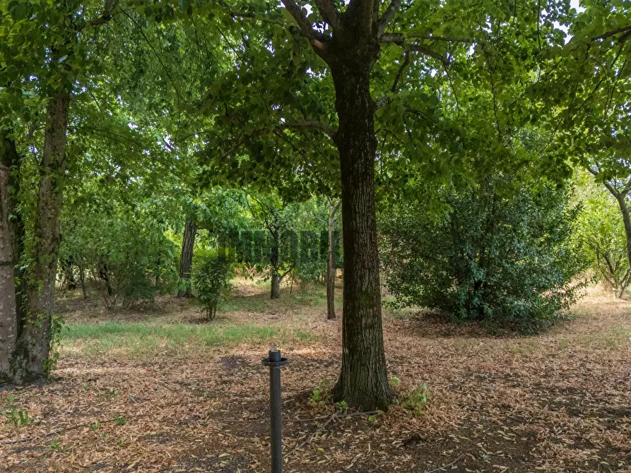 Immagine 39 di Casa indipendente in vendita  in Via Ponte Forca 22 a Cadelbosco Di Sopra