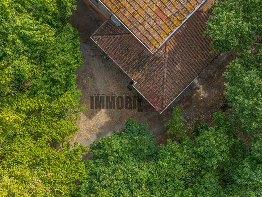 Immagine 44 di Casa indipendente in vendita  in Via Ponte Forca 22 a Cadelbosco Di Sopra