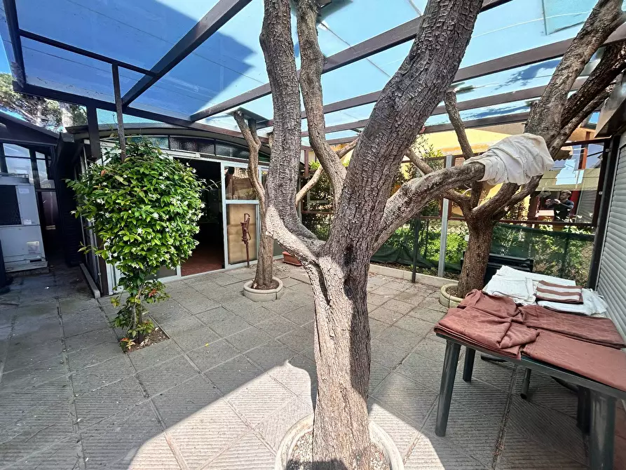 Immagine 21 di Villa in vendita  in via butterfly a Viareggio